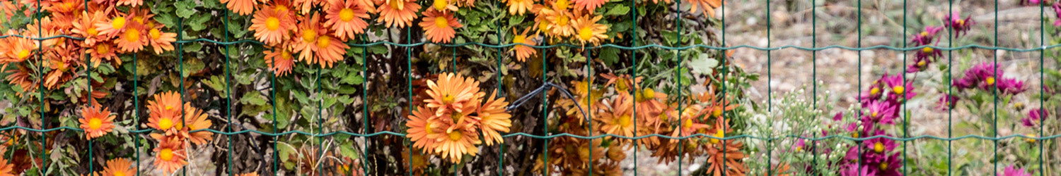 Garden Fence