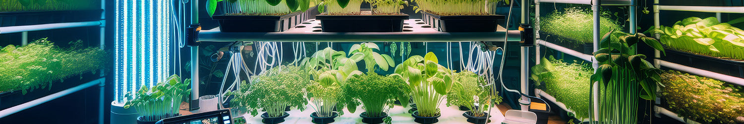 Hydroponic Growing Media