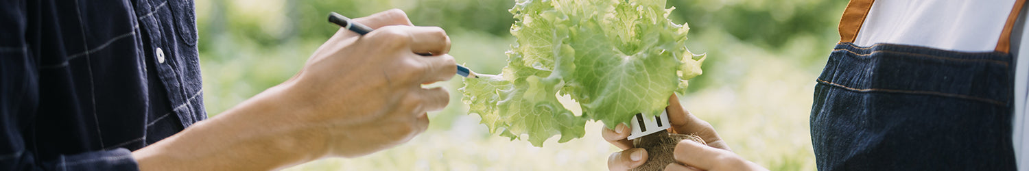 School Greenhouse & Garden Curriculum