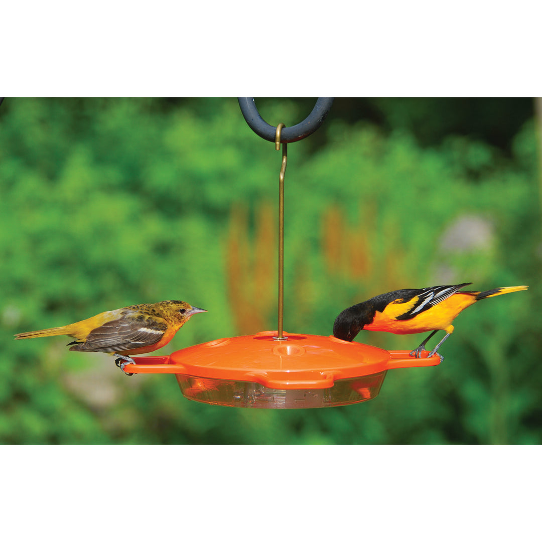 Aspects Oriole Bird Feeder