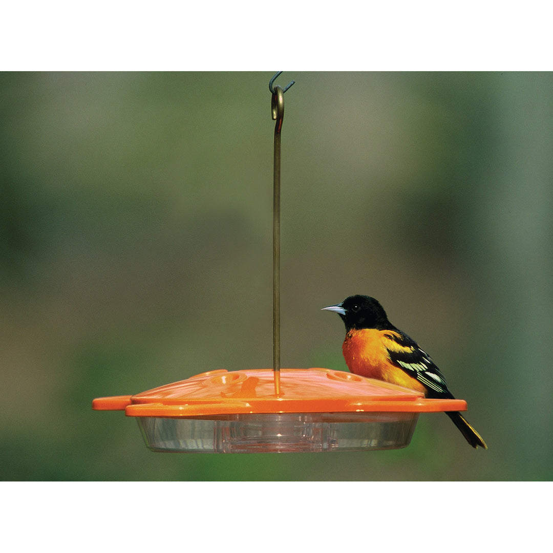 Aspects Oriole Bird Feeder