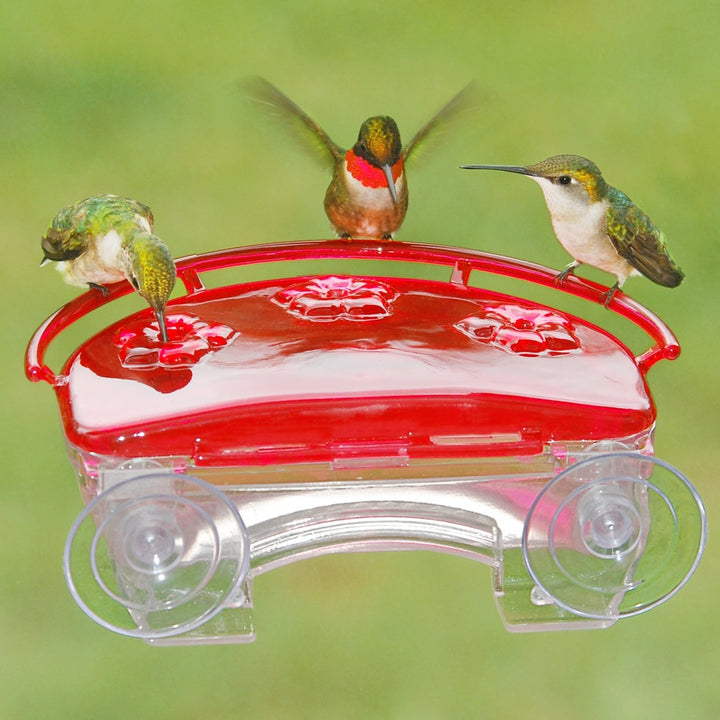 Aspects Jewel Box Window Hummingbird Feeder