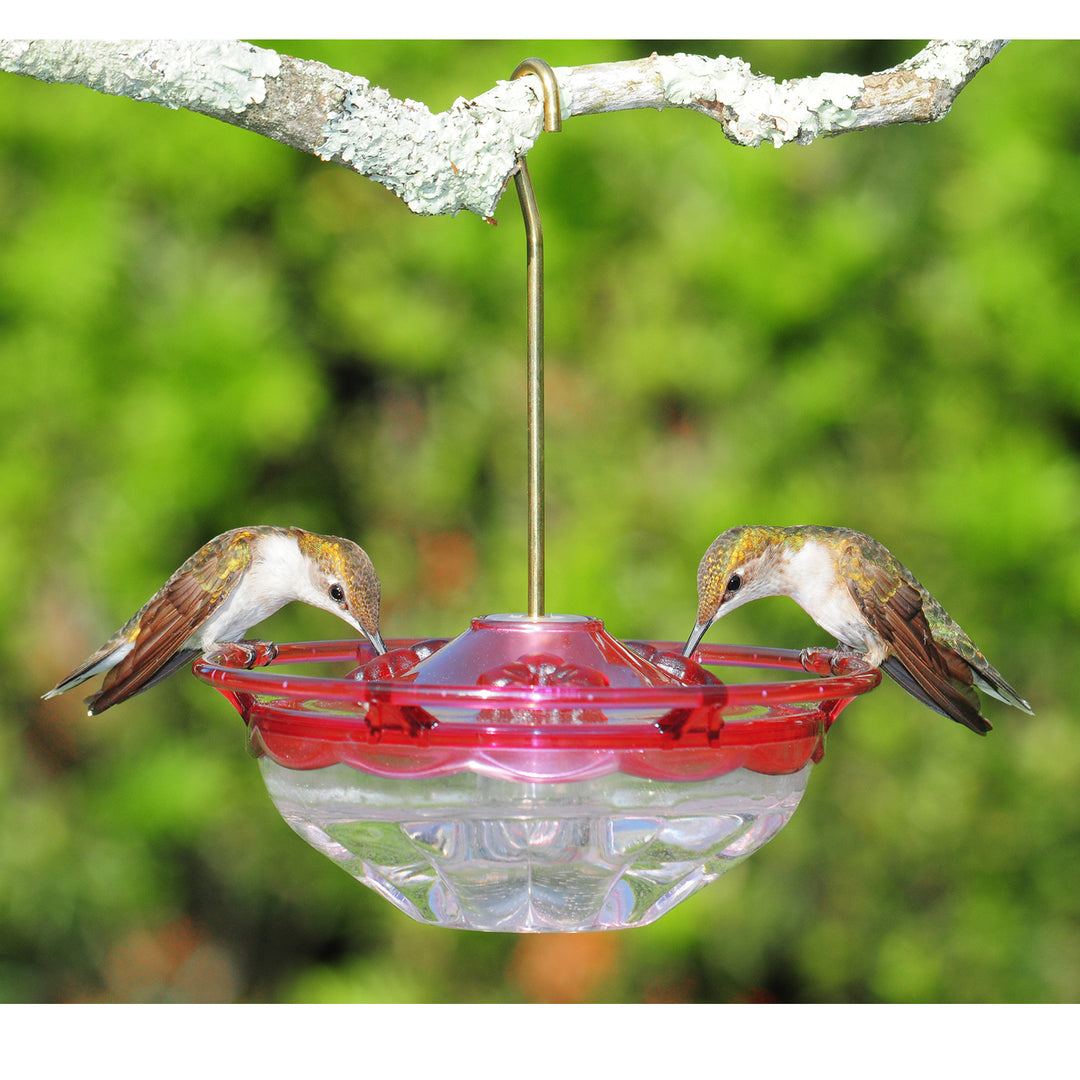 Aspects HummBlossom Hummingbird Feeder