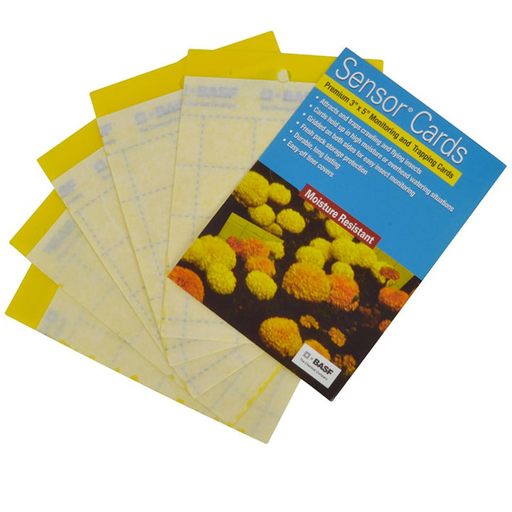 BASF Sensor Sticky Cards