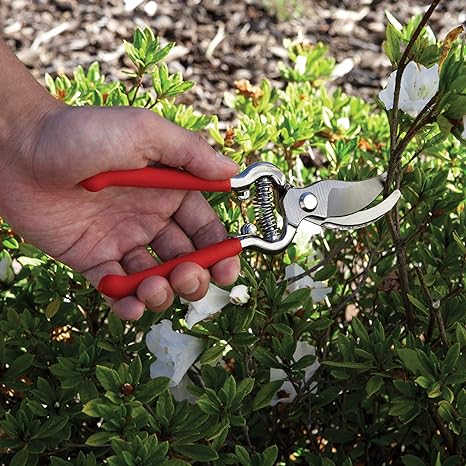 Bond Drop Forged Pruner Set