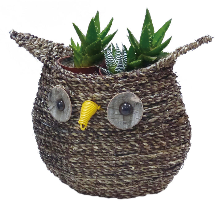 Gardener Select® Rattan Rope Owl Topiary