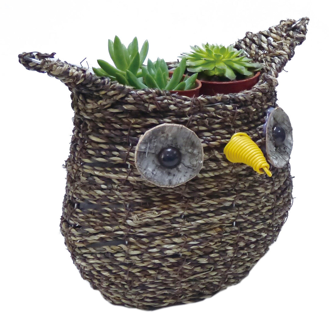 Gardener Select® Rattan Rope Owl Topiary