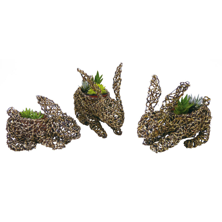 Gardener Select® Rattan Rope Bunny Topiary