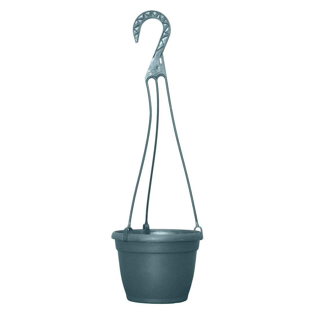 Grower Select 6 in. Bella Hanging Basket