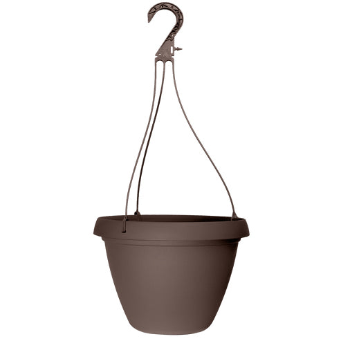 Grower Select 10 in. Cove Combo Hanging Basket