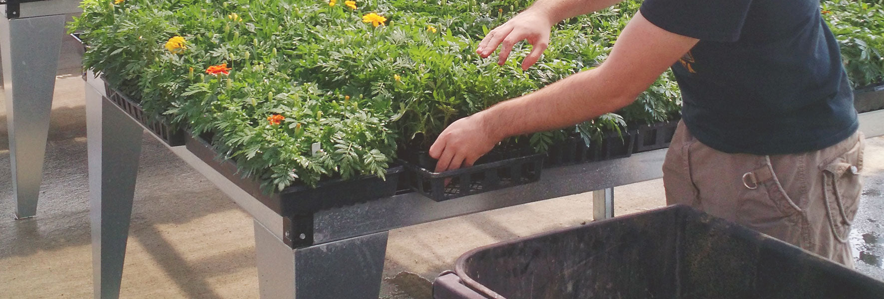 Benches & Grow Tables