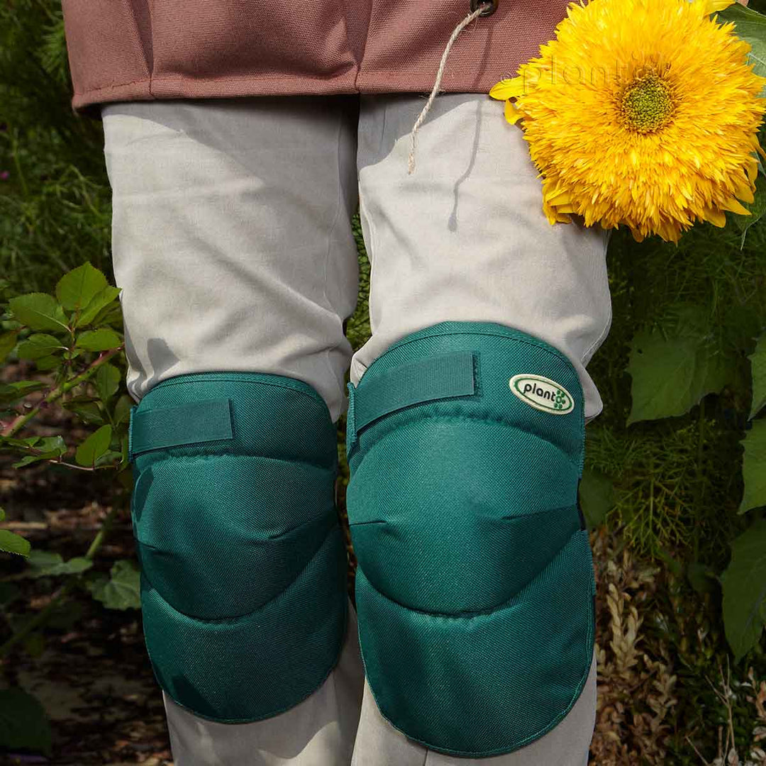 Planto Knee Pads