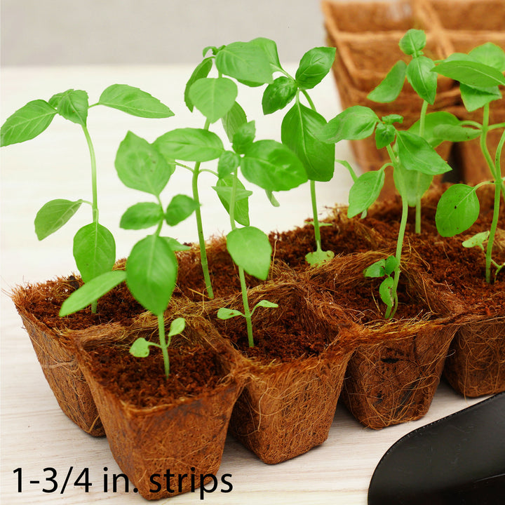 PlantBest™ Coir Pot Strips