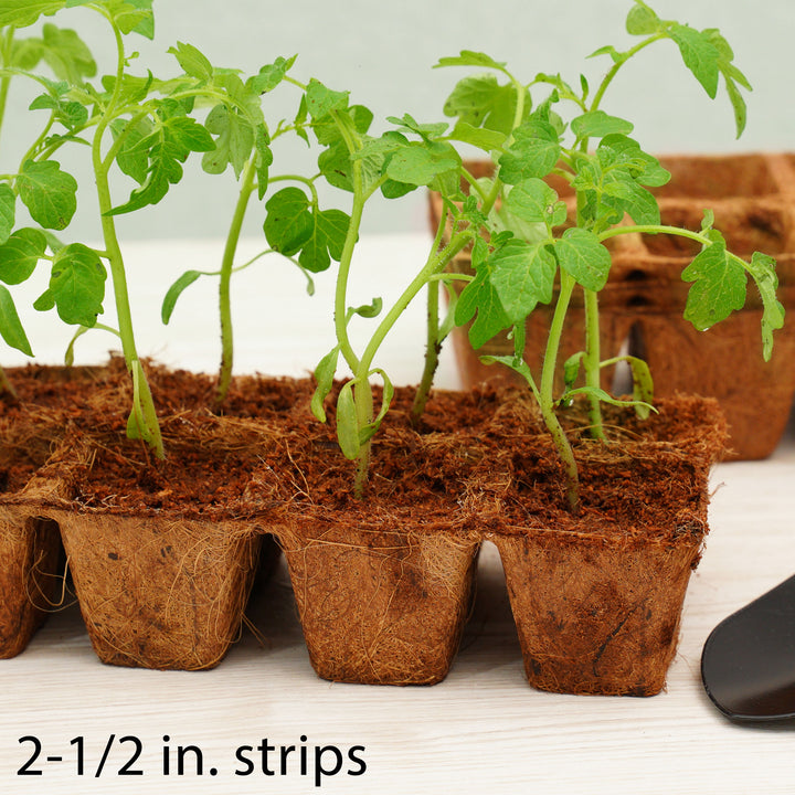 PlantBest™ Coir Pot Strips