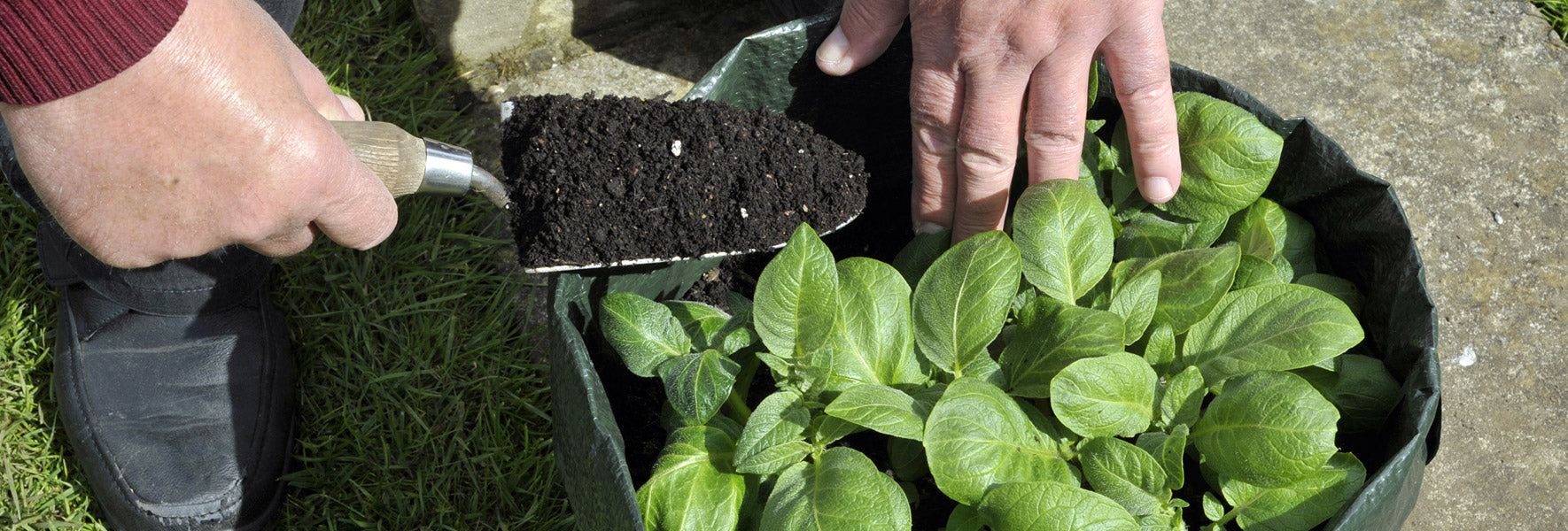 Grow Bags & Pouches