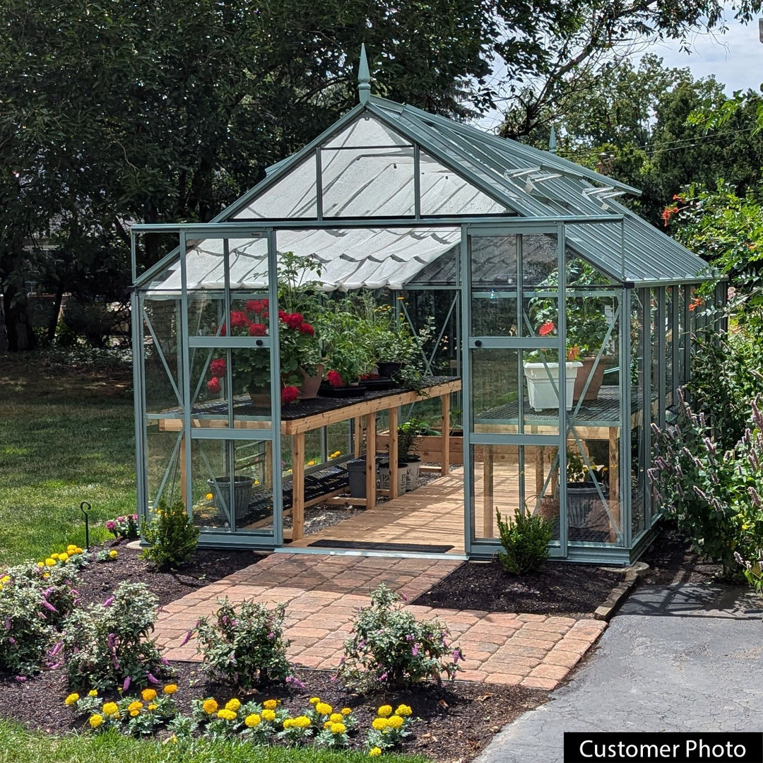 Rhino Premium Greenhouse Kit 10 x 16 ft. with 4mm Toughened Safety Glass Panels and Aluminum Frame