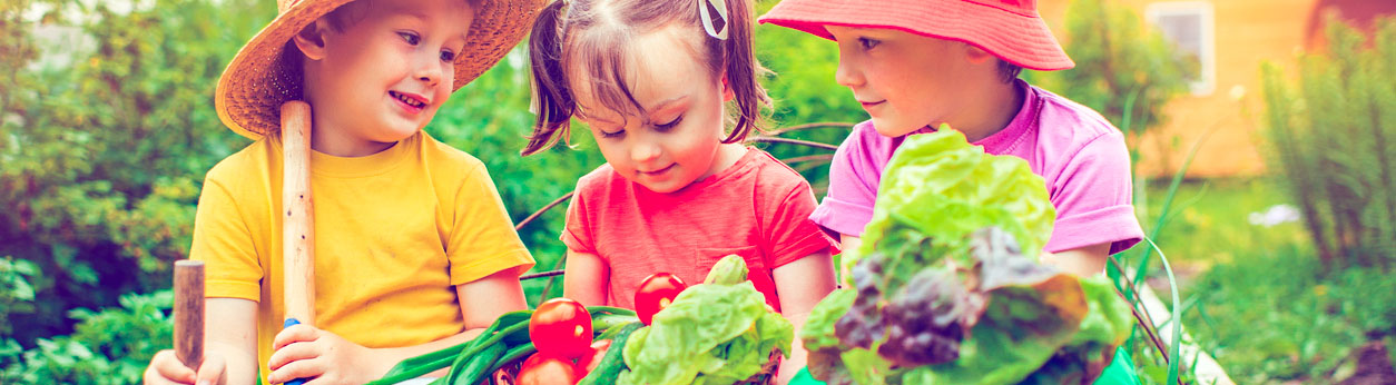 Kids Gardening