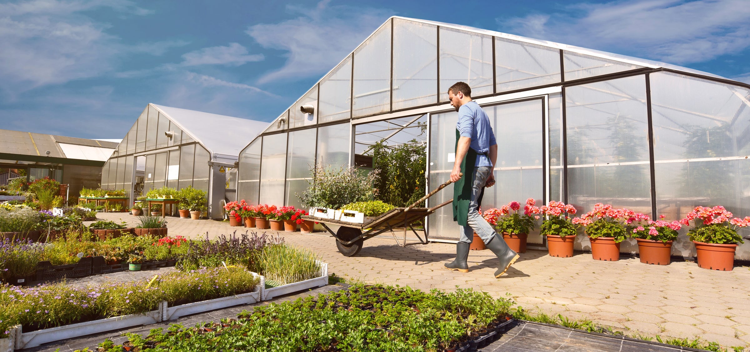 Greenhouses & Structures