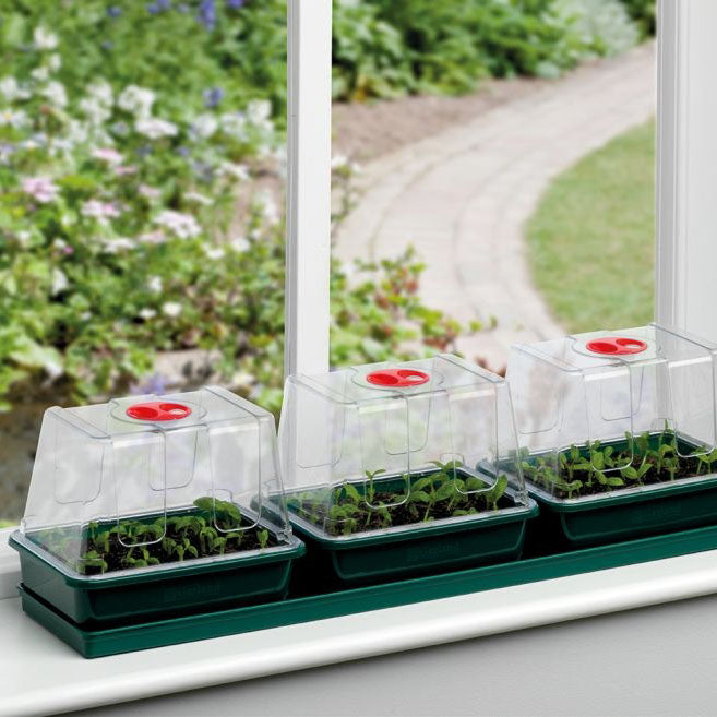 Garland Three Top Windowsill Propagator