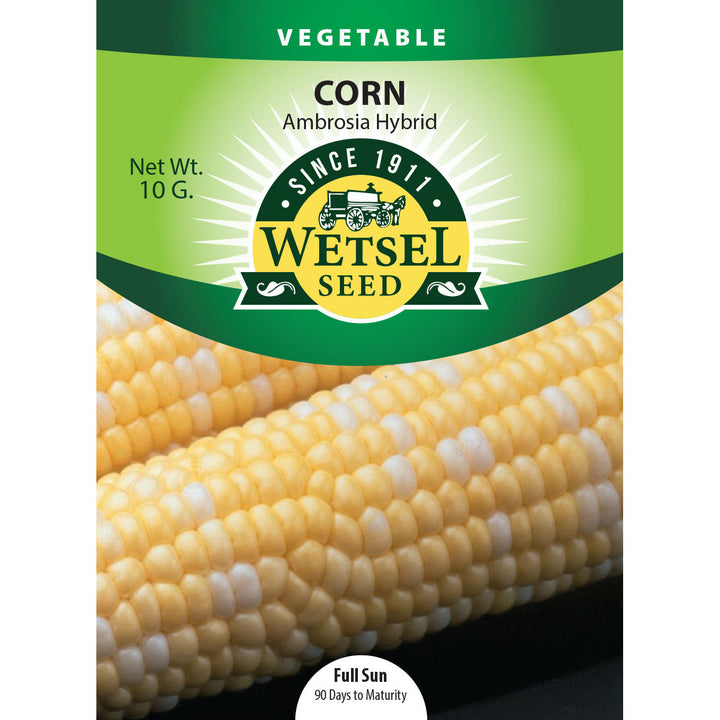 Wetsel Seed™ Hybrid Ambrosia Corn Seed