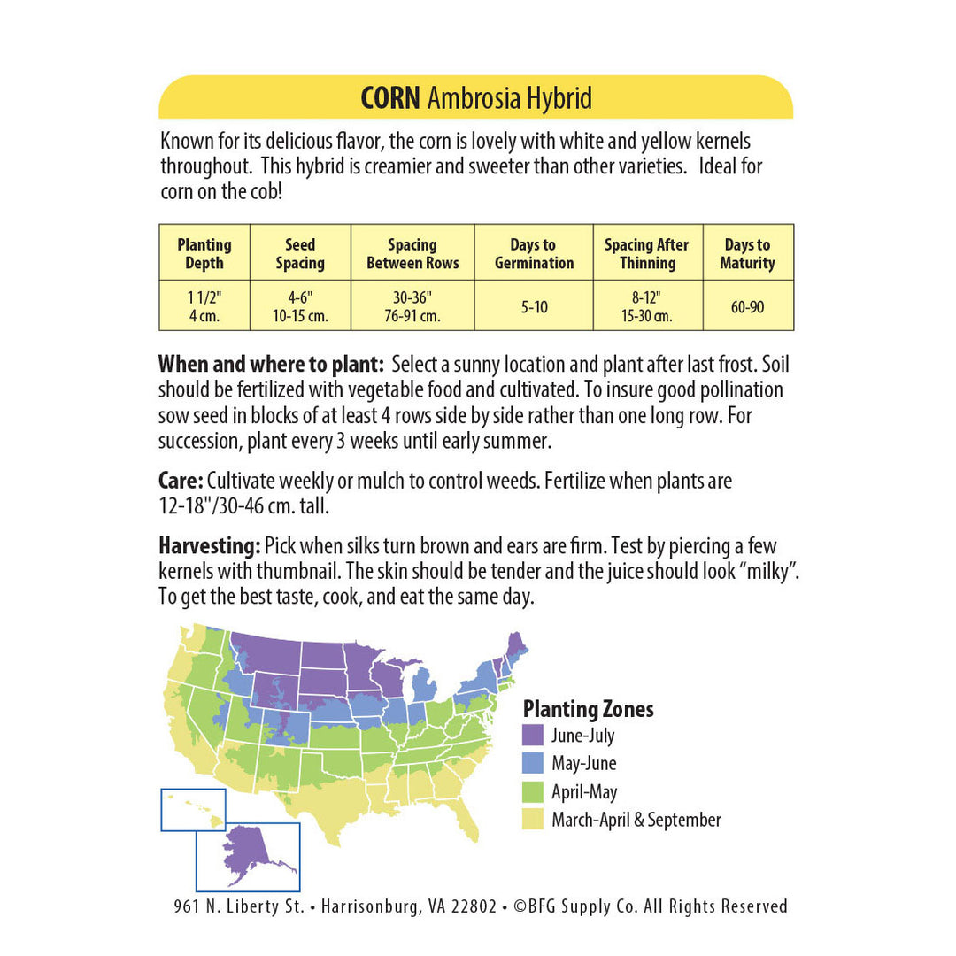 Wetsel Seed™ Hybrid Ambrosia Corn Seed