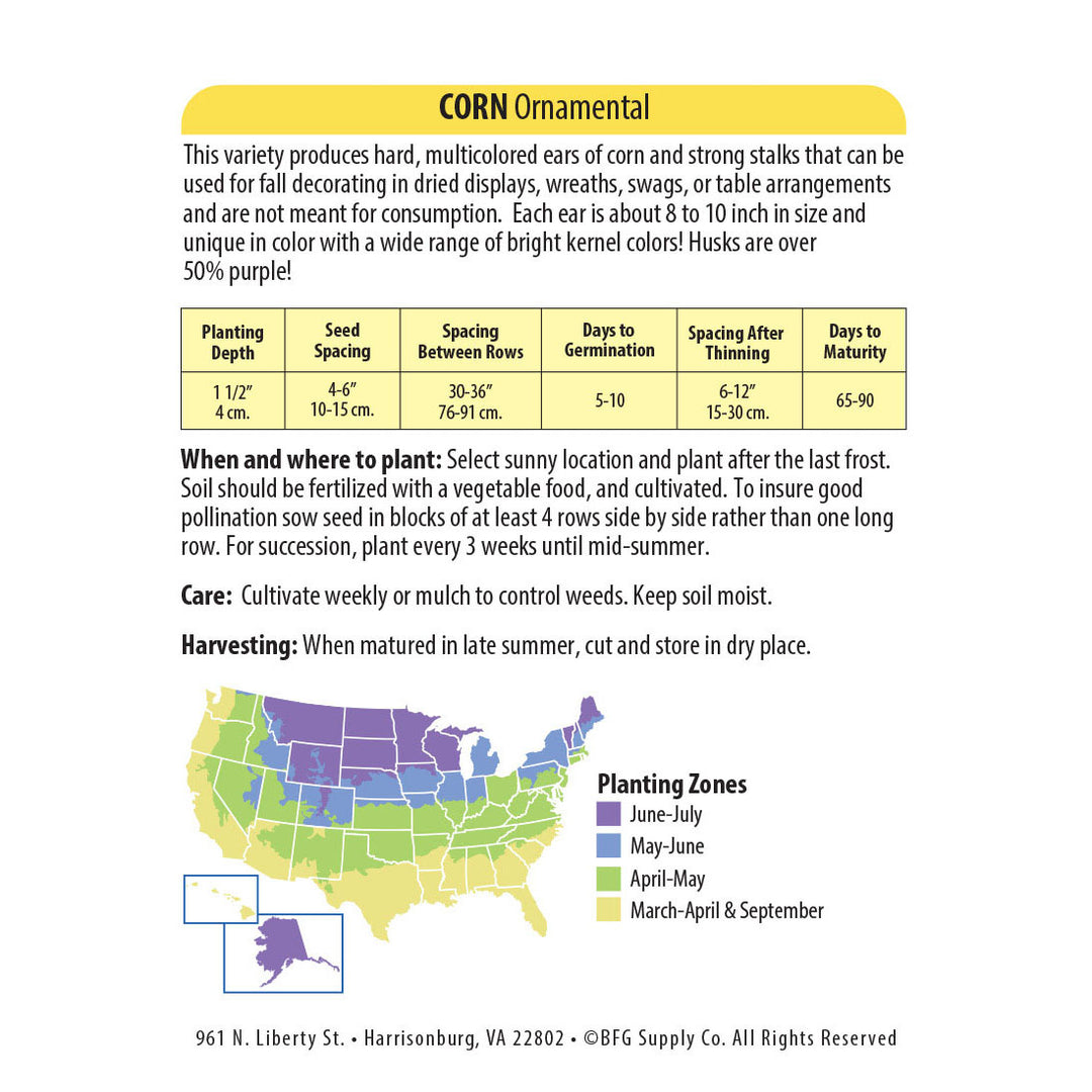 Wetsel Seed™ Corn Ornamental Seed
