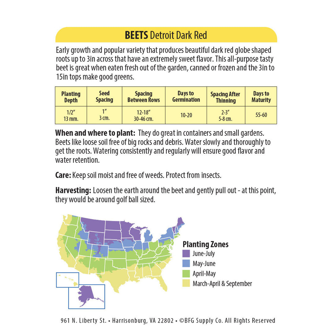 Wetsel Seed™ Beet Detroit Dark Red Seed