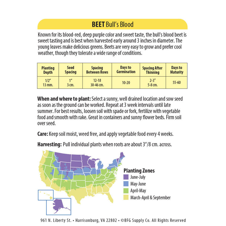 Wetsel Seed™ Bull's Blood Beet Seed