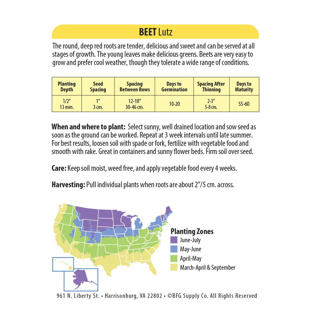 Wetsel Seed™ Lutz Beet Seed