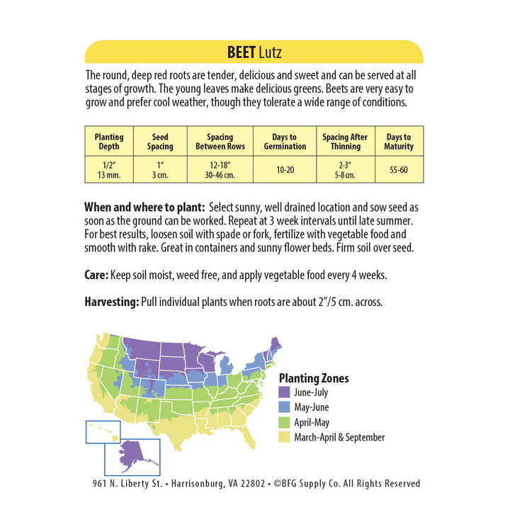 Wetsel Seed™ Lutz Beet Seed