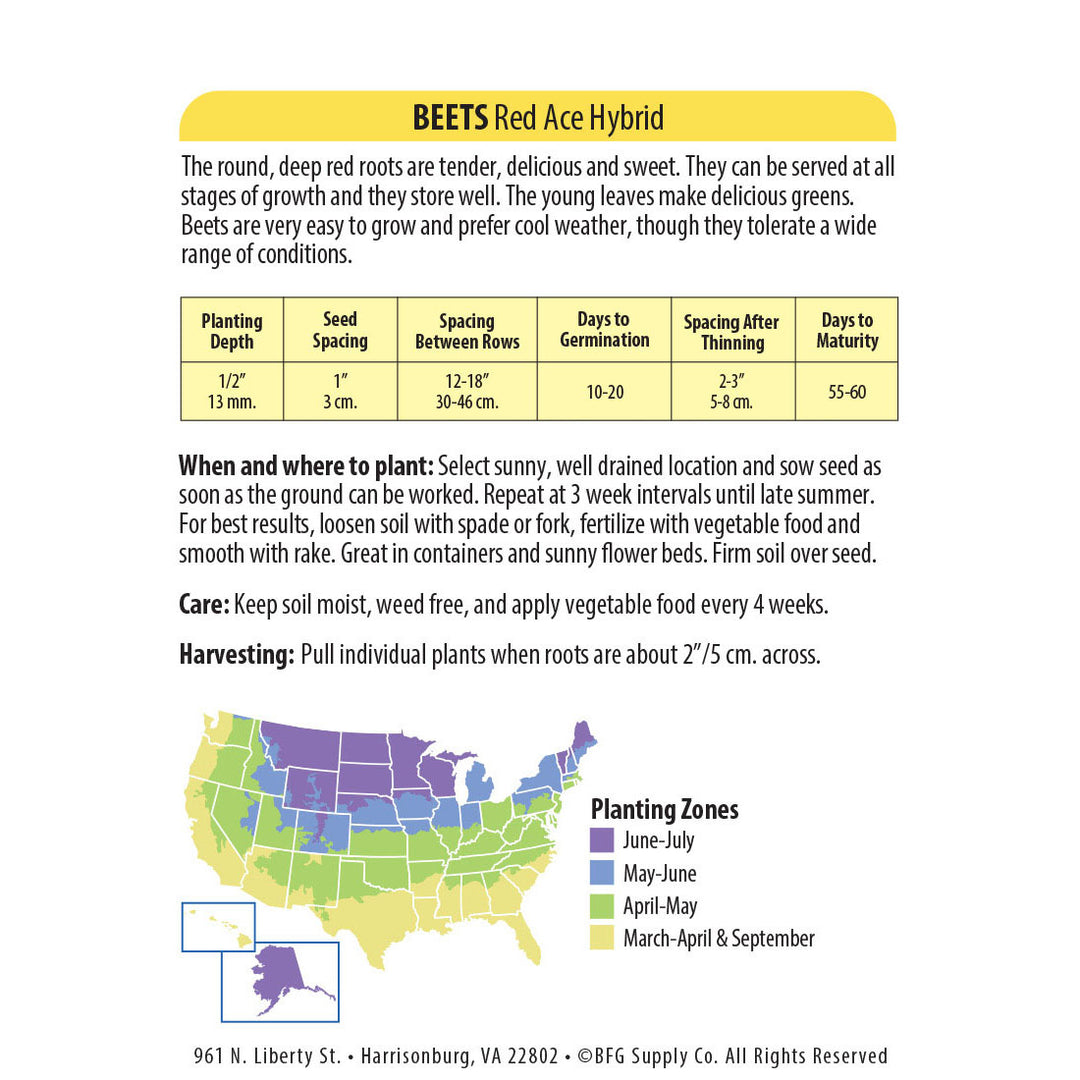 Wetsel Seed™ Beet Red Ace Seed