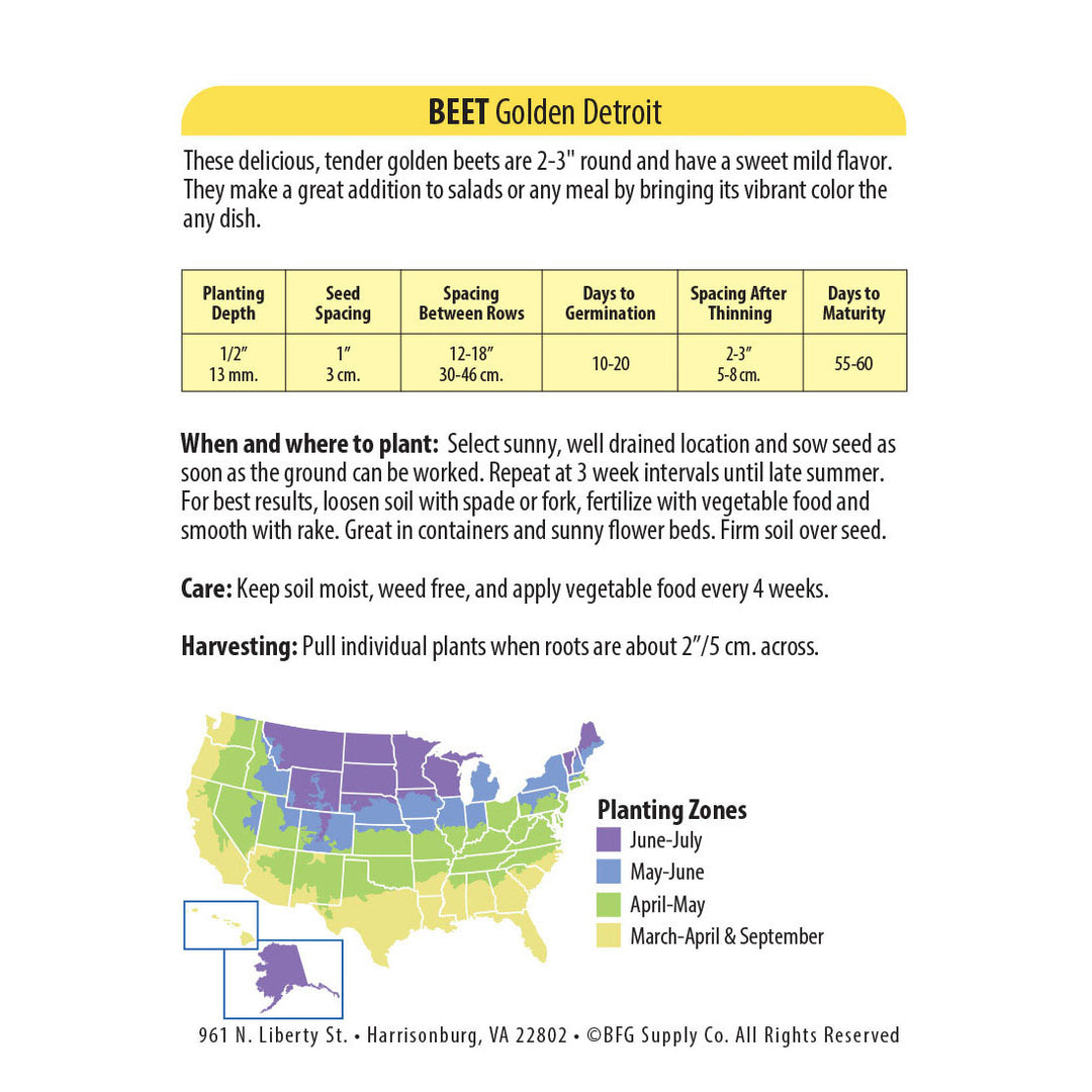 Wetsel Seed™ Golden Detroit Beet Seed