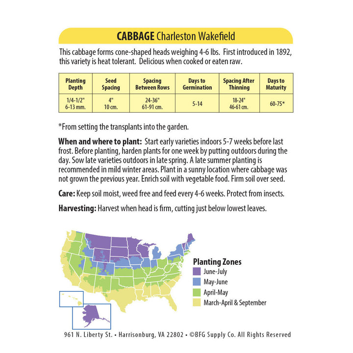 Wetsel Seed™ Charleston Wakefield Cabbage Seed