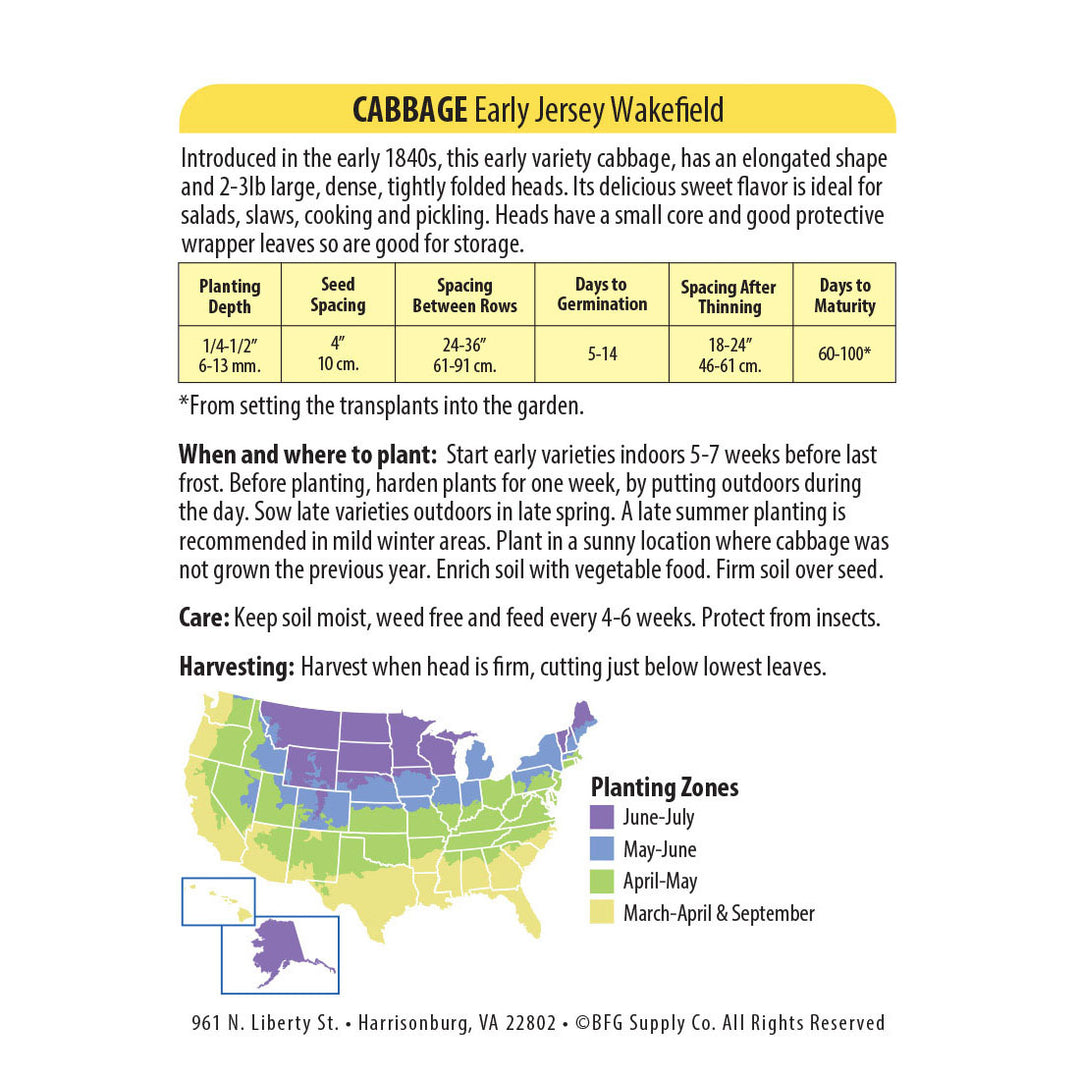 Wetsel Seed™ Early Jersey Wakefield Cabbage Seed