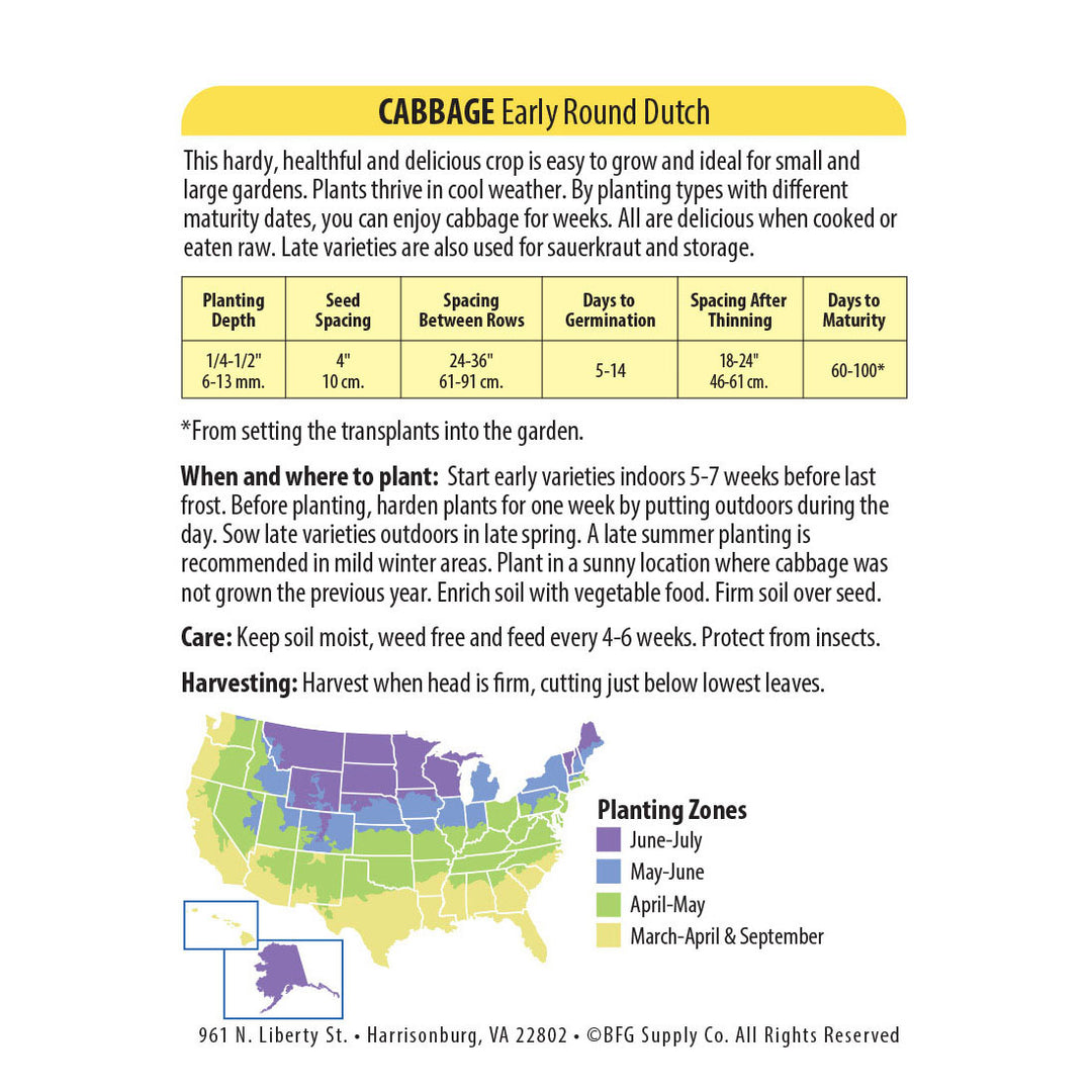 Wetsel Seed™ Early Round Dutch Cabbage Seed