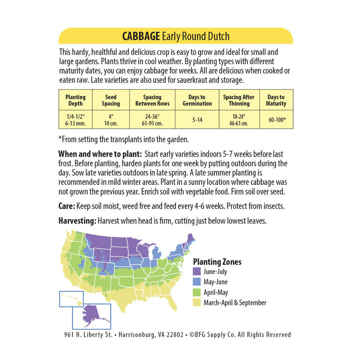 Wetsel Seed™ Early Round Dutch Cabbage Seed