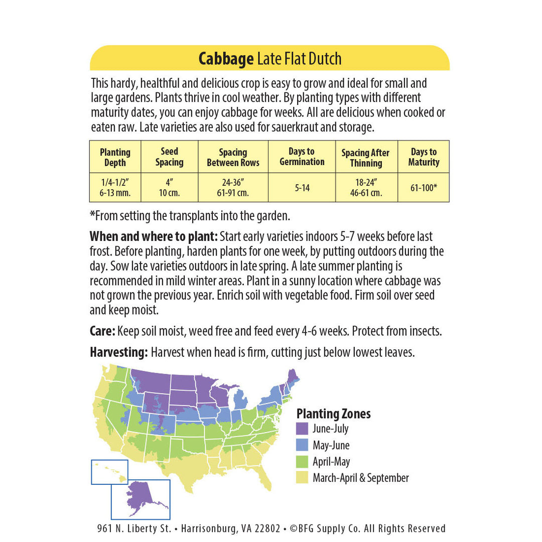 Wetsel Seed™ Late Flat Dutch Cabbage Seed