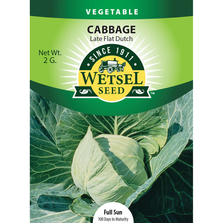 Wetsel Seed™ Late Flat Dutch Cabbage Seed