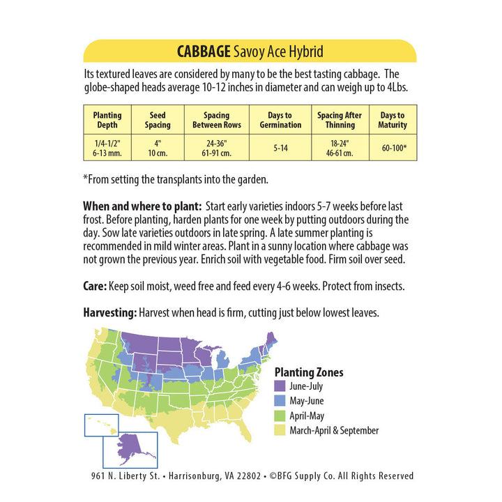 Wetsel Seed™ Hybrid Savoy Ace Cabbage Seed