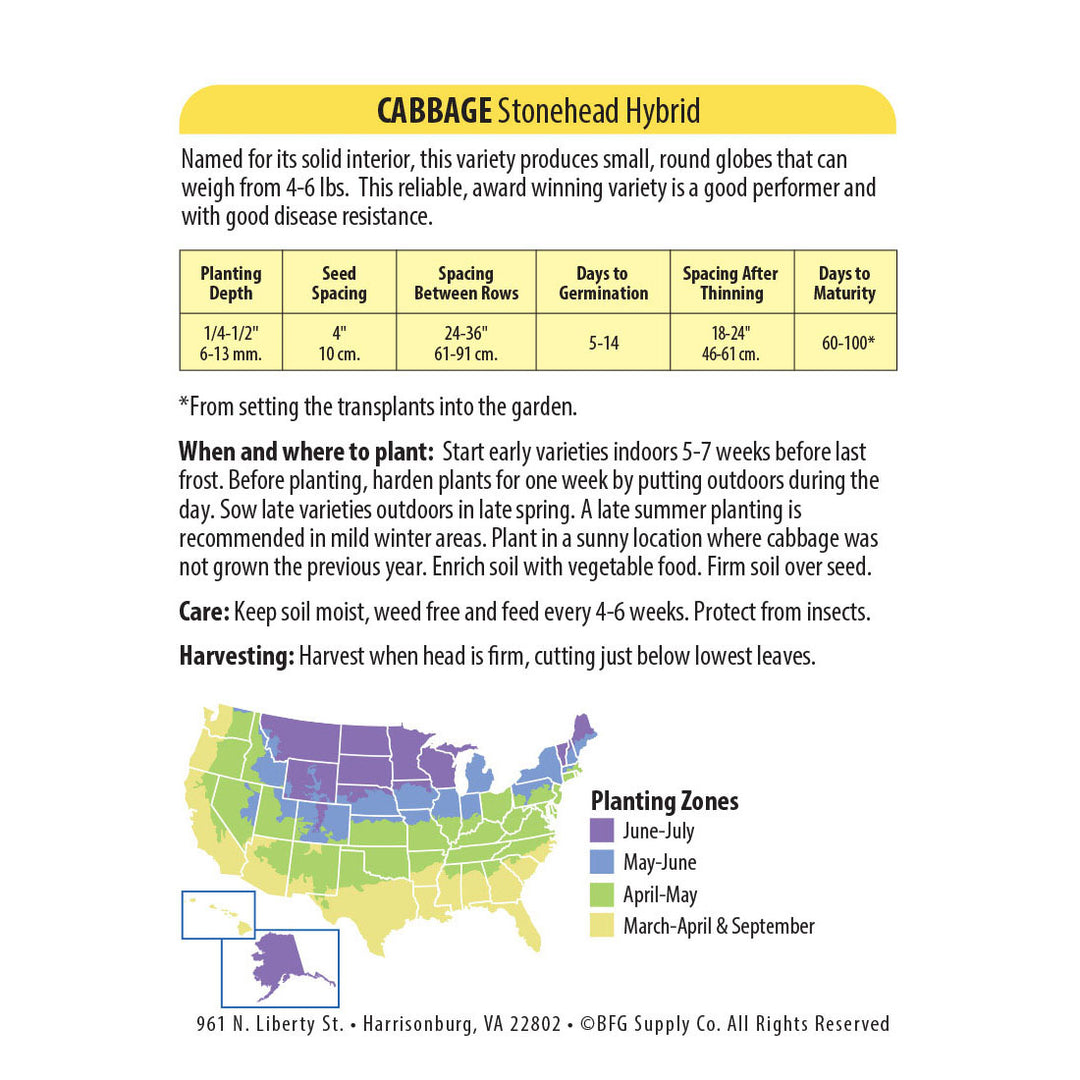 Wetsel Seed™ Hybrid Stonehead Cabbage Seed