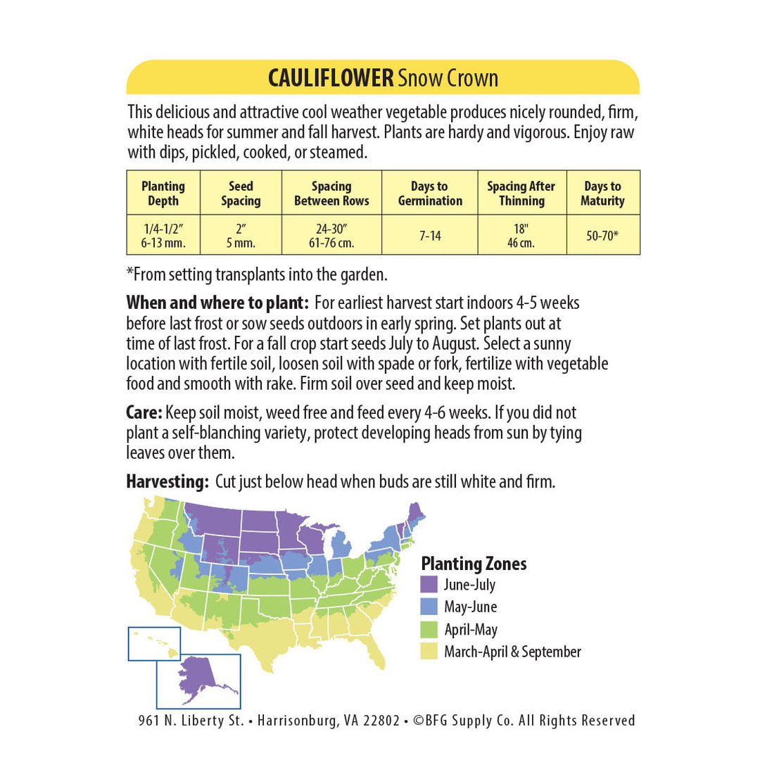 Wetsel Seed™ Snow Crown Cauliflower Seed