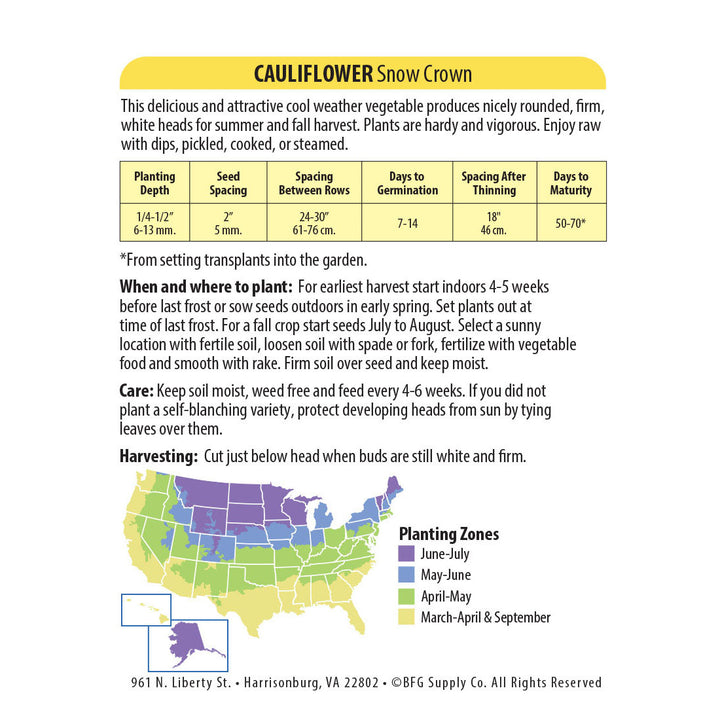 Wetsel Seed™ Snow Crown Cauliflower Seed