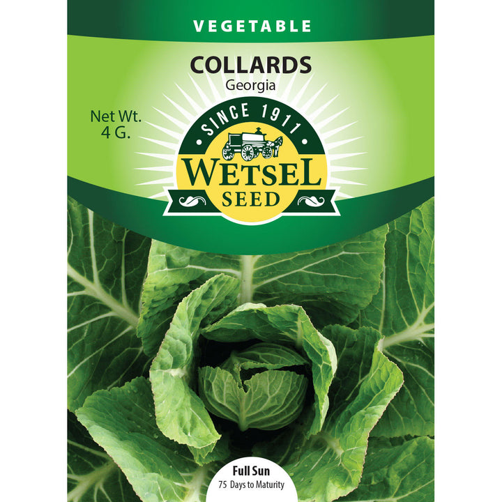 Wetsel Seed™ Georgia Collards Seed