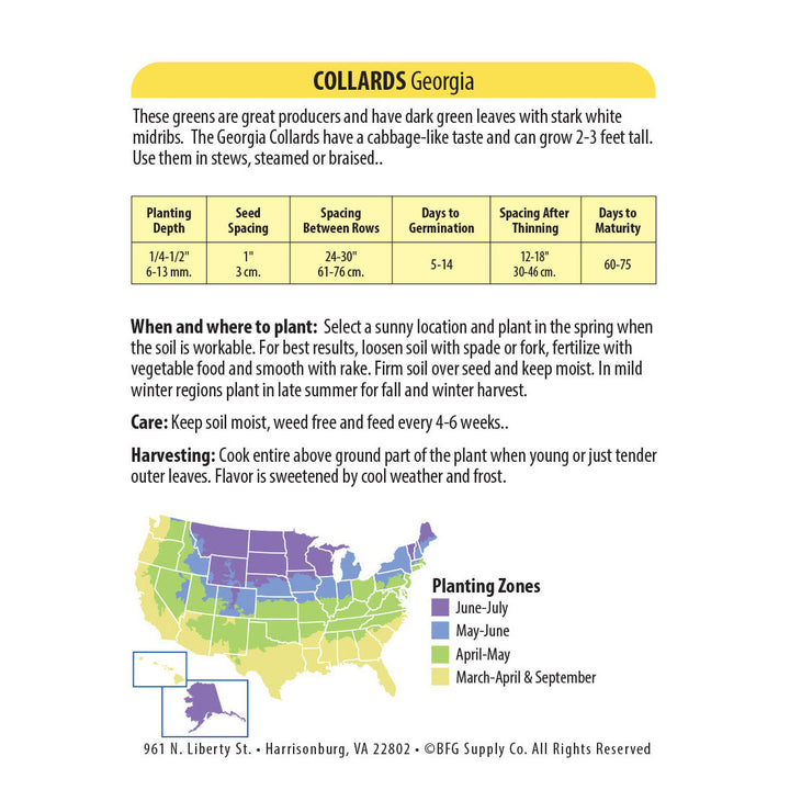 Wetsel Seed™ Georgia Collards Seed