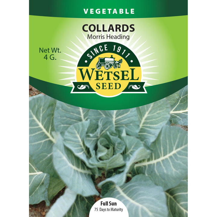 Wetsel Seed™ Morris Heading Collards Seed