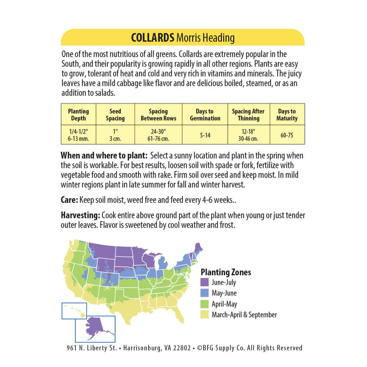 Wetsel Seed™ Morris Heading Collards Seed