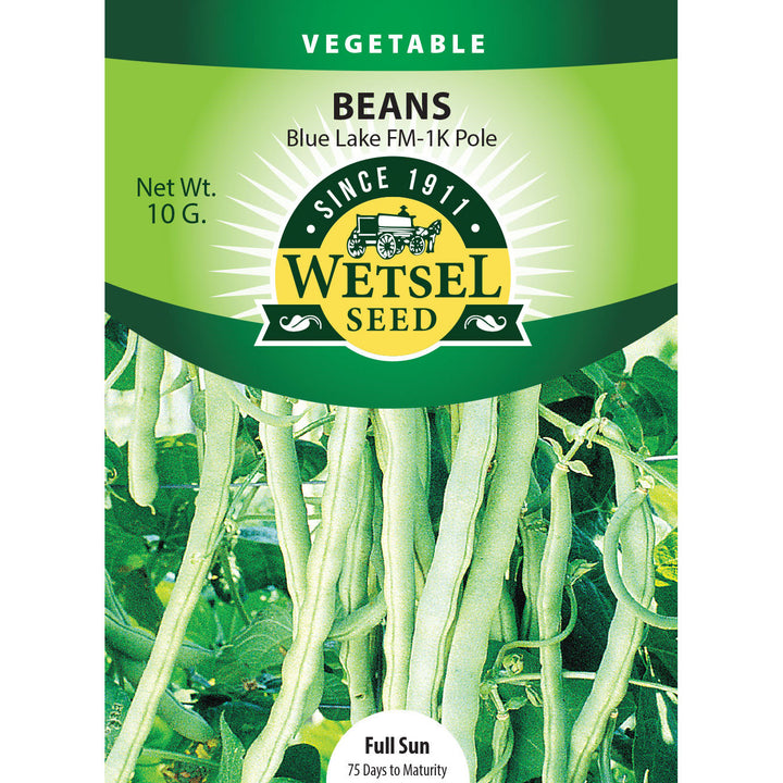 Wetsel Seed™ Bean Stringless Blue Lake FM1 Pole Seed