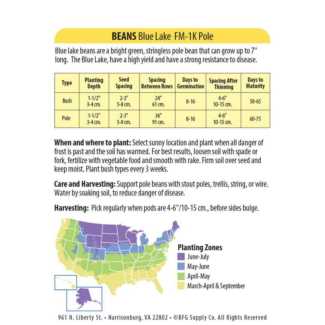 Wetsel Seed™ Bean Stringless Blue Lake FM1 Pole Seed
