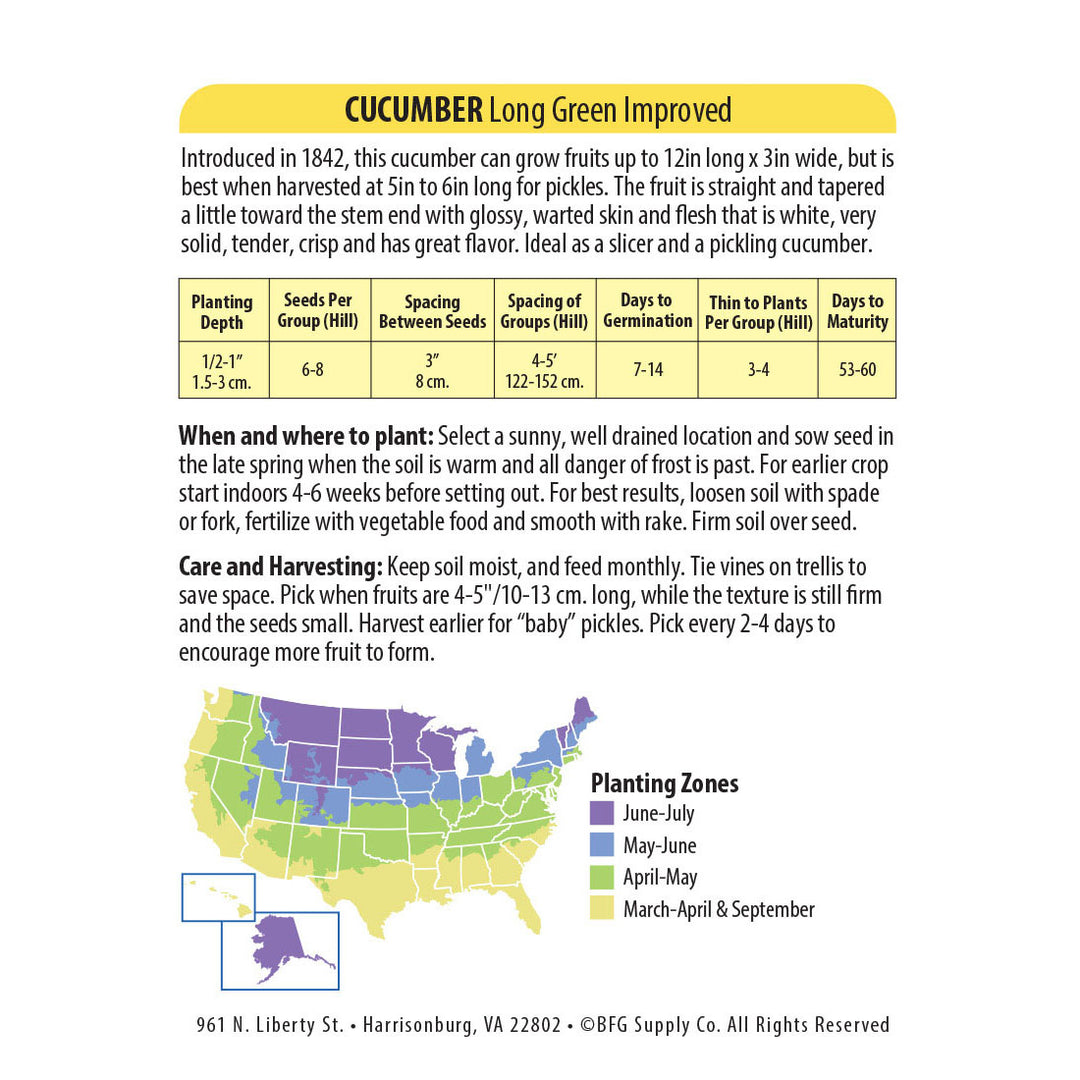 Wetsel Seed™ Cucumber Long Green Improved Seed