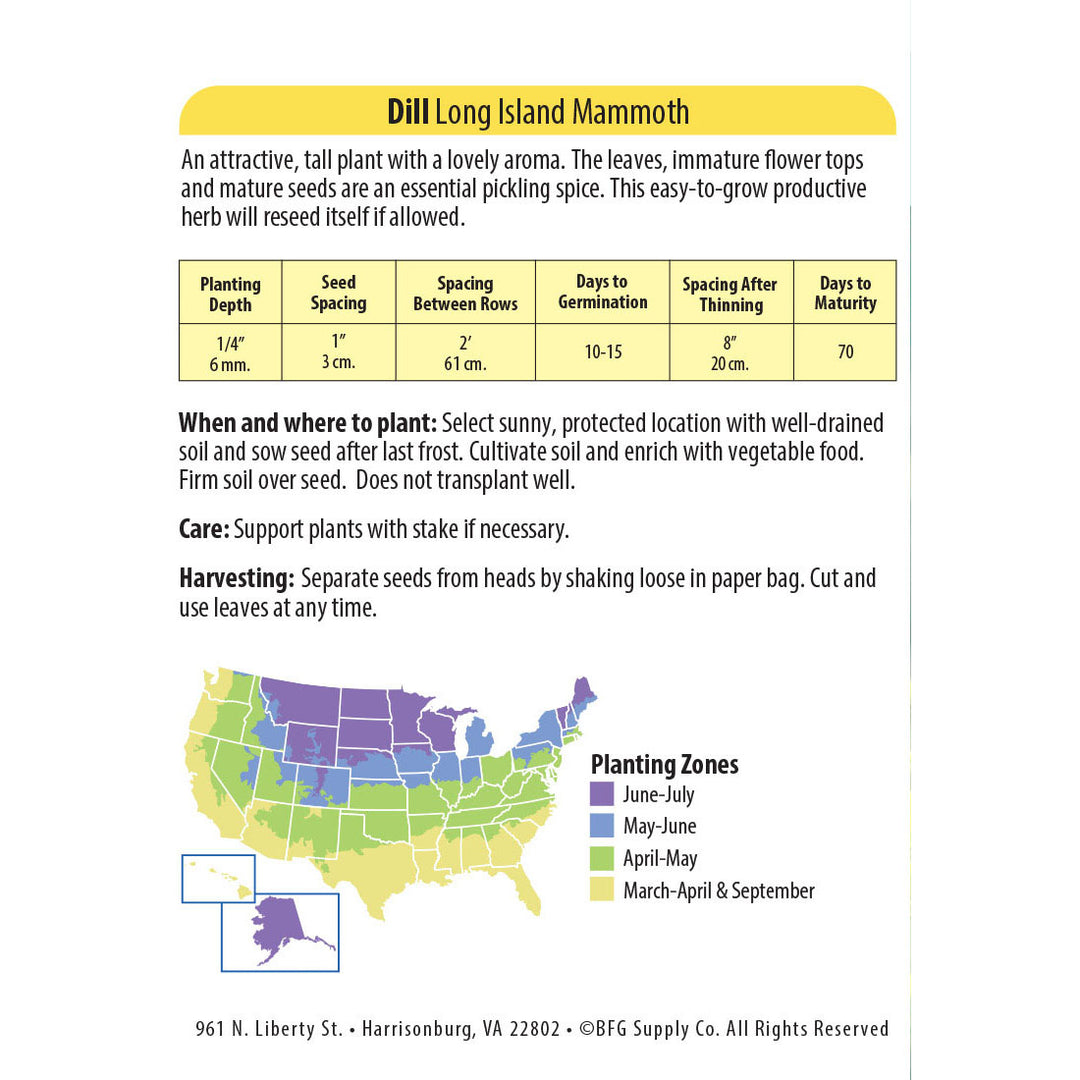 Wetsel Seed™ Dill Long Island Mammoth Seed